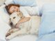 7 логических причин чтобы взять собаку к себе под одеяло