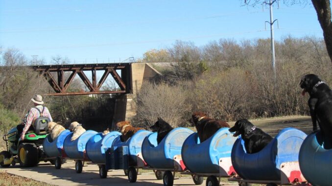 Мужчина из Техаса построил "собачий поезд"