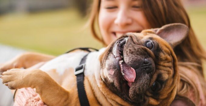 Научно доказано, что собака - друг и целитель