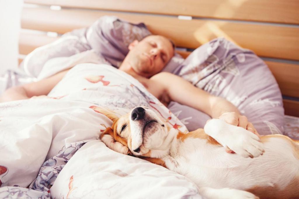Спать в обнимку с собакой полезно для здоровья