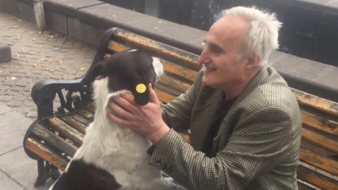 Грузин три года искал пропавшую собаку и наконец нашел