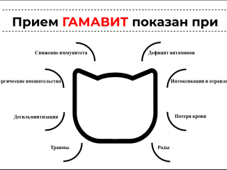 Гамавит для кошек