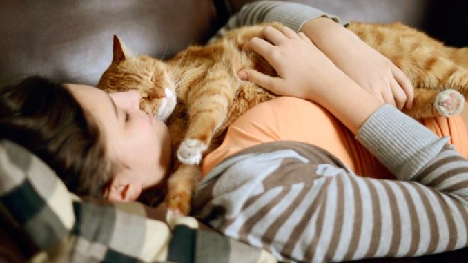 Почему коты любят спать на людях